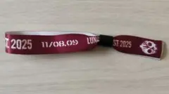 ルナフェス ミュージシャン