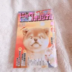 美品】ビッグオリジナル2025 11.5号