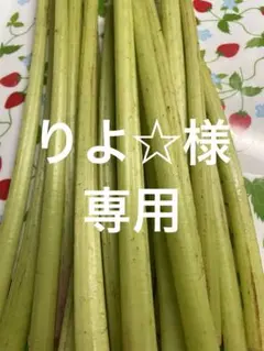 りよ☆様専用