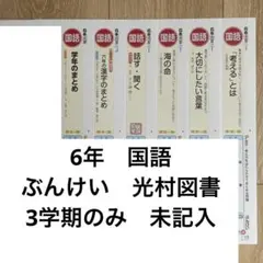 2026年最新】ぶんけい 6年 テストの人気アイテム - メルカリ