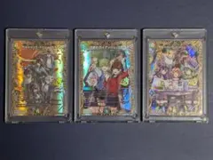 ドキドキつよいデッキ シークレット ガイアッシュ ボルドリ ドラゴン娘