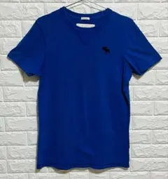 Abercrombie&Fitch MUSCLE(アバクロ) 青 ブルーUネック