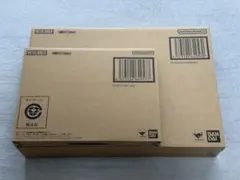 未開封 メタルビルド ガンダムアストレアⅡ & プロトザンユニット セット