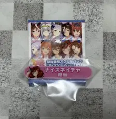 ウマ娘　ナイスネイチャ　担当称号アクリルバッジコレクション