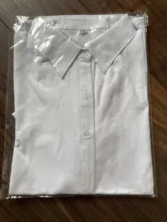 【新品】レディース 半袖シャツ ホワイト 4L