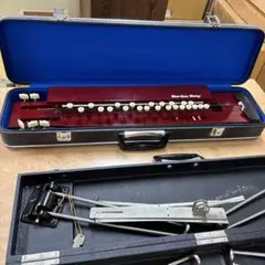 大正琴 PALM HARP ハードケース付き 簡易動作確認済み - メルカリ