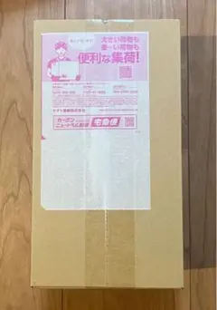 ポケモンカードゲーム スペシャルBOX ポケモンセンタートウホク