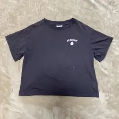 ゴーストロゴ レトロ 古着 クロップドTシャツ 150のサムネイル