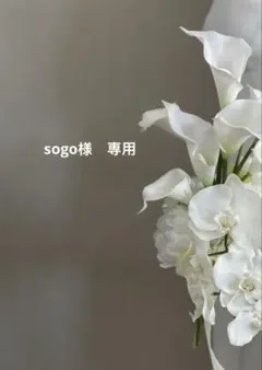 sogo様　専用