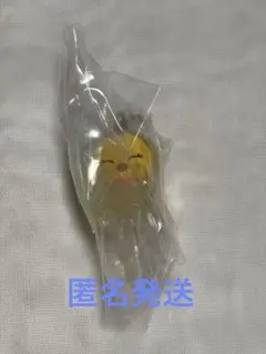 SKYZOO スキズガチャ　めじるしアクセサリー ポガリ