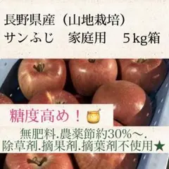 味濃い甘い！サンふじ★無肥料.農薬節約30%〜.除草剤.摘果剤不使用★【5kg箱