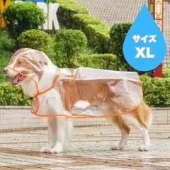 Item thumbnail for item 0444003e-3ef0-4dc2-8c02-ab99328f80f7