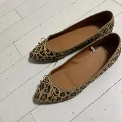 レオパード 23.5