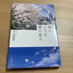 桜のような僕の恋人