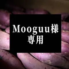 Mooguu様専用 茨城県産 紅はるか 干し芋 【シロタ】800g 平干し