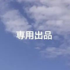 専用出品