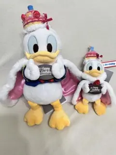 ドナルドDONALD BIRTHDAY 2026ディズニーストア 2点セット