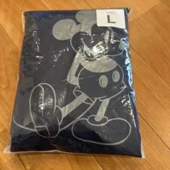 ディズニーリゾートレインコート Lサイズ　※他のサイズもあります