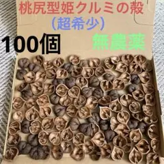 ✨❤️桃尻型ヒメクルミの殻❤️〈ハート型〉100個✨