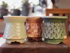 陶器植木鉢 作家鉢 ハンドメイド 3点セット Sサイズ アガベ A-684