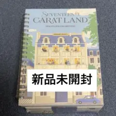 【新品未開封】SEVENTEEN CARAT LAND 2024 ケレン デジコ