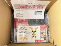 Nintendo Switch2ポケモンLEGENDS M次元ラッシュ