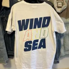 WIND AND SEA フルーツ刺繍　Tシャツ