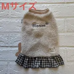 Item thumbnail for item 7075d5b6-49ed-4505-a4ed-d47bf937d3e0