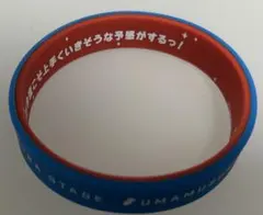 ウマ娘　マチカネタンホイザ　4th シリコンバンド