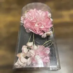 Item thumbnail for item 8238efb7-0a62-481e-a266-f7aa66e0ae92