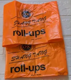 アームリング 腕浮き輪 オレンジ 2個セット