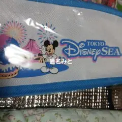 未使用 東京ディズニーシー ミッキーマウス ペンケース