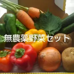 産地直送『店主の気まぐれ野菜セット』CCLⅦ 農薬:栽培期間中、不使用のサムネイル