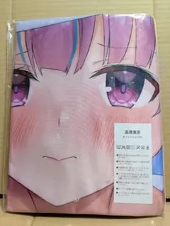 Item thumbnail for item 697de3fd-c19c-4429-986b-cc119ededf8c