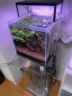 爬虫類ケージ 60×40×40 メッシュ アクリル扉 カメレオン ケージ ペット