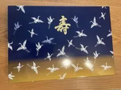 Item thumbnail for item e0d2081f-8eea-4638-a662-b74a48eaa042