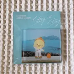 【新品未開封】スキズ チェジュ マグネット フィリックス