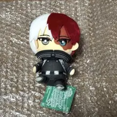 僕のヒーローアカデミア ヒロアカ 轟焦凍