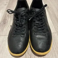 MIZUNO（ミズノ）モナルシーダ　フットサルシューズ　27cmのサムネイル