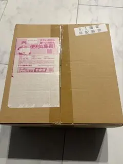 メガブレイブ　BOX　シュリンク付き　ポケモンセンターセット　箱未開封
