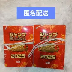 2025年最新】ジャンプ ビクトリーパスポートの人気アイテム - メルカリ