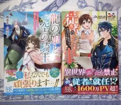 龍の娘と空の騎士―ぼっち少女は愛され人生をめざし中― 他1冊