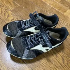 2025年最新】フィールドジオlj 25の人気アイテム - メルカリ