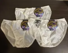 Item thumbnail for item b87f09ae-e620-427a-ab37-31cb80bbf50d