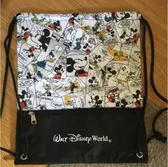 ウォルトディズニーワールド リュック