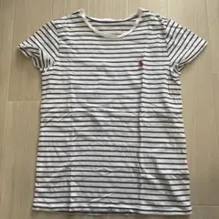 Polo Ralph Lauren ストライプ Tシャツ 半袖