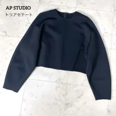 【美品】AP STUDIO 23AW TA/P カービープルオーバー 黒 フリーのサムネイル
