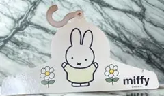 Item thumbnail for item 2afc1c5a-d7f0-4353-9efb-1efde13ec34d