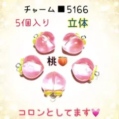 れんれん様 リクエスト 3点 まとめ商品