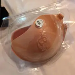 【短時間使用のみ】トリートドレッシングサイズB 専用フィルム付き